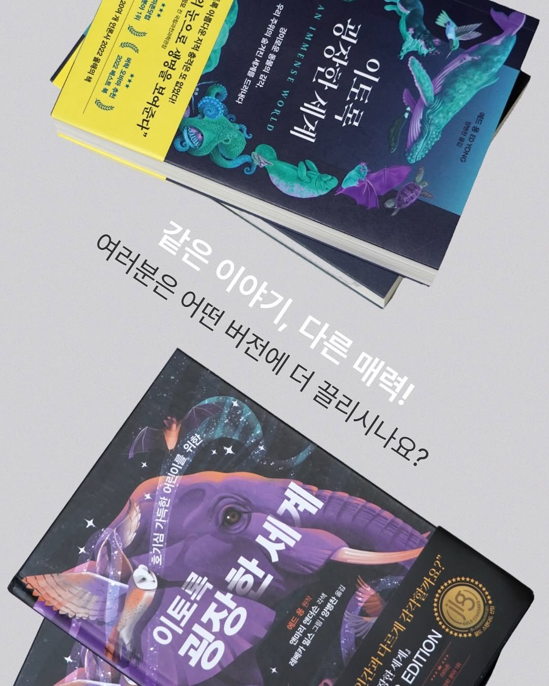 Photo shared by 어크로스 on October 30, 2025 tagging @across_jr. May be an image of magazine, poster, book and text.