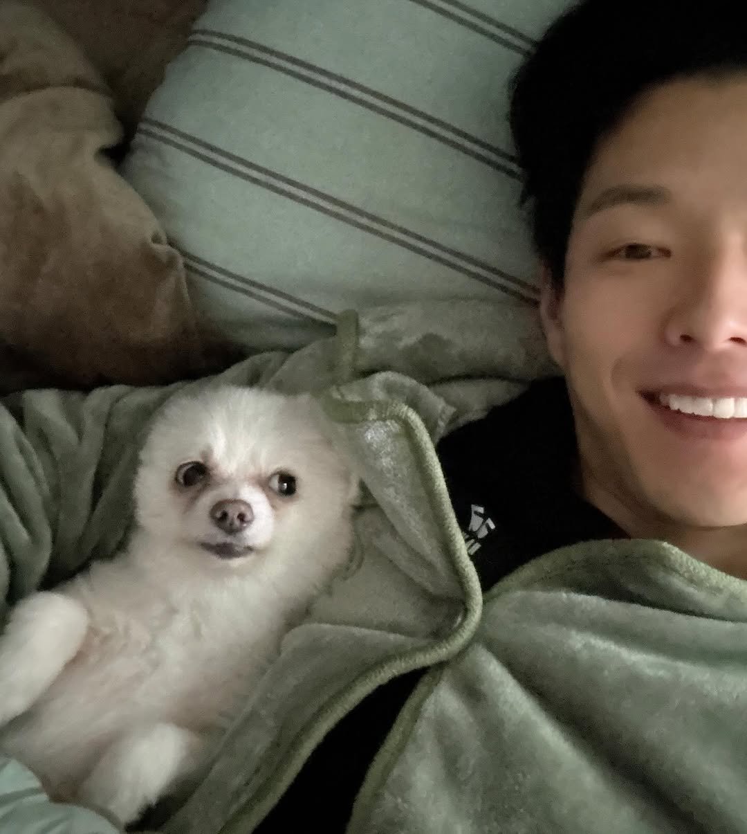 Photo by 하준   Ha_Jun on March 26, 2026. May be an image of Pekinese, Maltese and text.