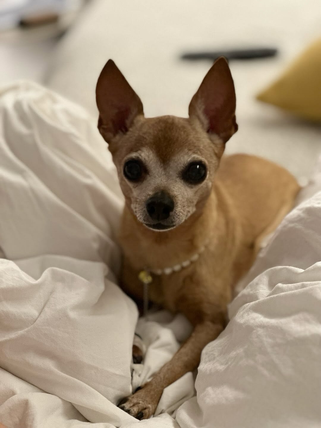 Photo by 이민호 leeminho on July 12, 2025.