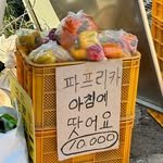 choja_life 프로필 사진