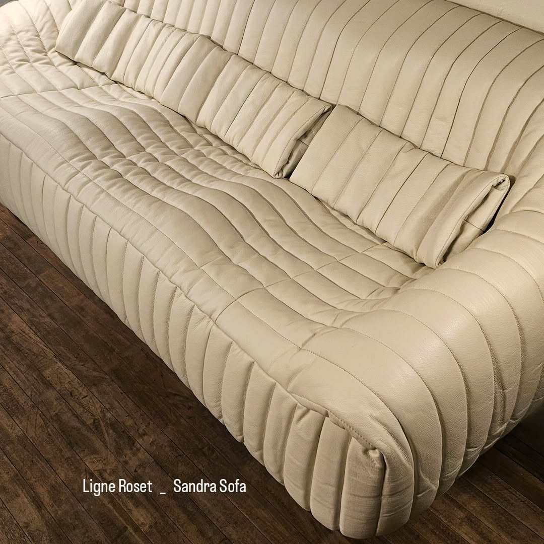 Photo by adel on December 16, 2025. May be an image of leather, armchair, futon, sofa, chaise lounge and text.