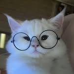 drygincherrybrandylemonsoda 프로필 사진