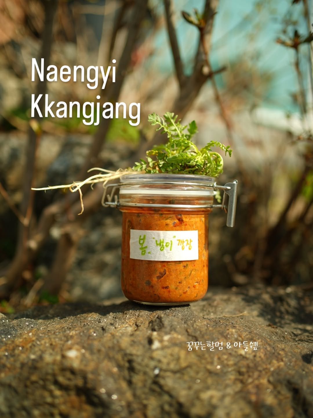 Photo by 아들쉪 on March 24, 2026. May be an image of condiment, vegetable, jar, herb and text that says 'Naengyi Kkangjang 봄, 봄냉이짱장 냄이 깡장 꿈꾸는할멍 꿈꾸는할멍&아들셈! & 아들쉐'.