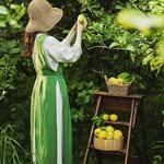 jeju_organic_lemonfarm 프로필 사진
