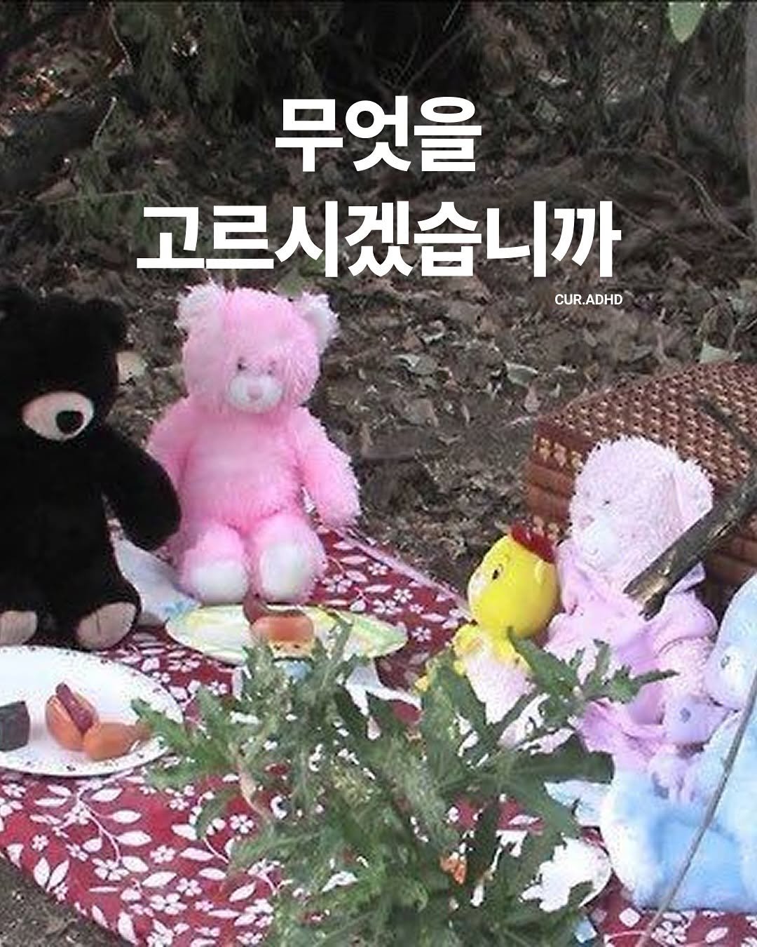 Photo by ADHD MAGAZINE on August 08, 2025. May be an image of picnic and text that says '무엇을 고르시겠습니까 CUR.ADHD CUR ADHD'.