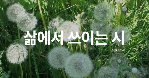 Photo by ADHD MAGAZINE on November 07, 2025. May be an image of dandelion and text that says '삶에서 20 삶에 쓰이는시 CUR.ADHD'.