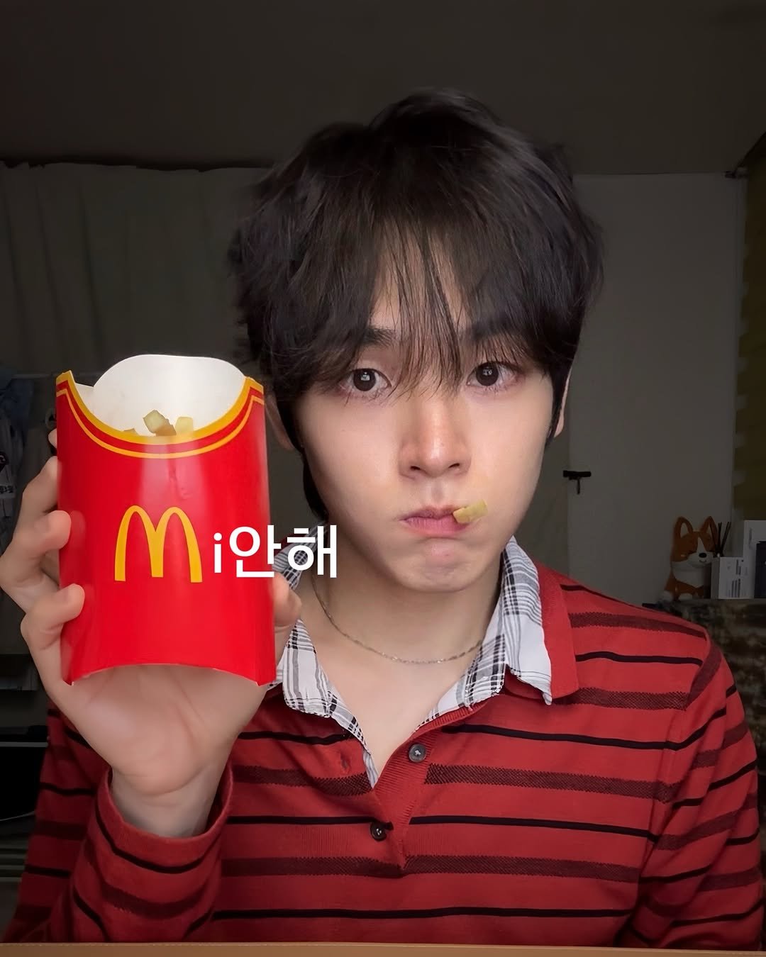 Photo by 어차피환이 on March 25, 2026. May be an image of french fries and text that says 'M .i안해 i안해'.