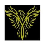 gaurav_motors_22_official 프로필 사진