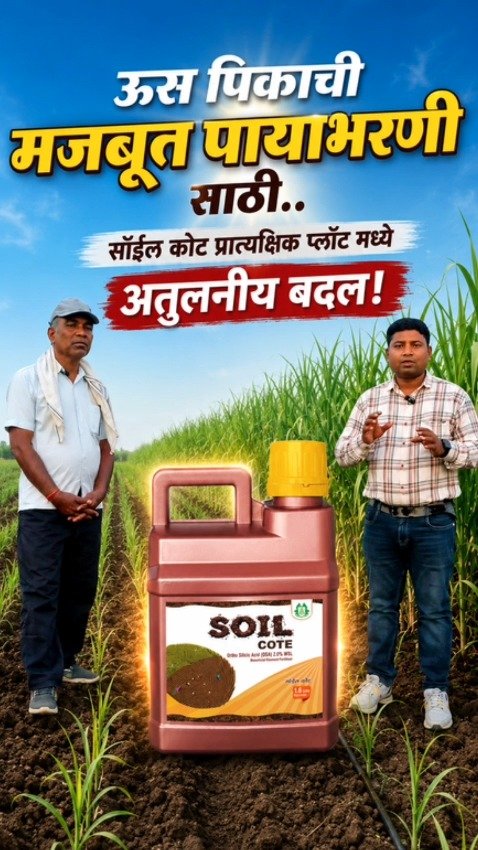 advp.official 게시물 이미지: 📲 प्रतिनिधीचे नाव;- राकेश नौकरकर (AMM -विदर्भ...