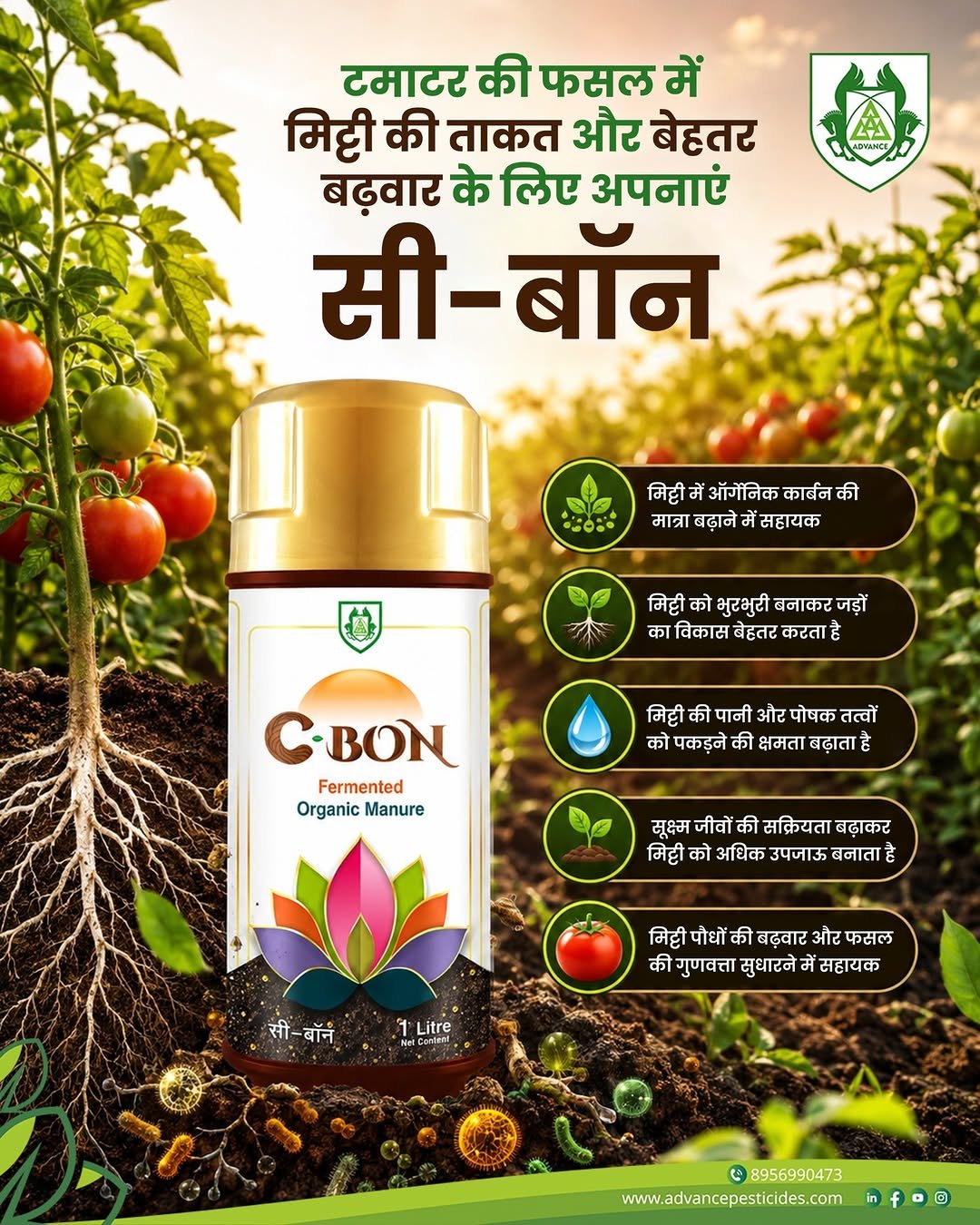 advp.official 게시물 이미지: मिट्टी होगी उपजाऊ, तो टमाटर की फसल होगी...