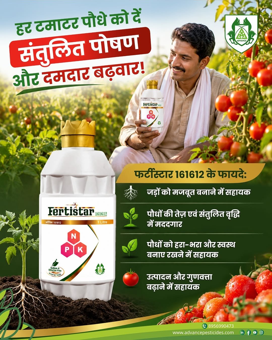 advp.official 게시물 이미지: टमाटर की फसल को दें संपूर्ण पोषण और पाएं दमदार...
