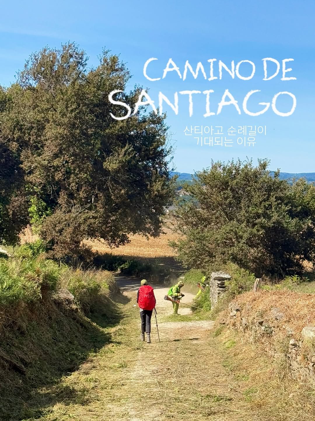 Buen Camino! 산티아고 순례길이 기대되는 이유 *제작지원

이제 한 달도 남지 않은 저의 산티아고 순례길⛰️

🥾투어 펠리스 '까미노 스마트팩'이 기대되는 이유
•자유 여행과 패키지의 장점을 모은 투어
•무거운 짐 걱정 없는 편리한 이동
•순례길 알베르게 감성 + 호텔의 편안함
•사리아 > 산티아고 115km 핵심 루트 완주
•전문 가이드와 함께하는 포르투 시내&야경 투어

🎫스마트팩 10만원/프라임팩 20만원 추가 할인 가능한
저만의 할인 코드도 알려드려요*_*
할인코드 : TFSS001

저와 함께 걸으실 분
@tour_feliz 에서 만나요♡

#산티아고#산티아고순례길#투어펠리스#caminodesantiago