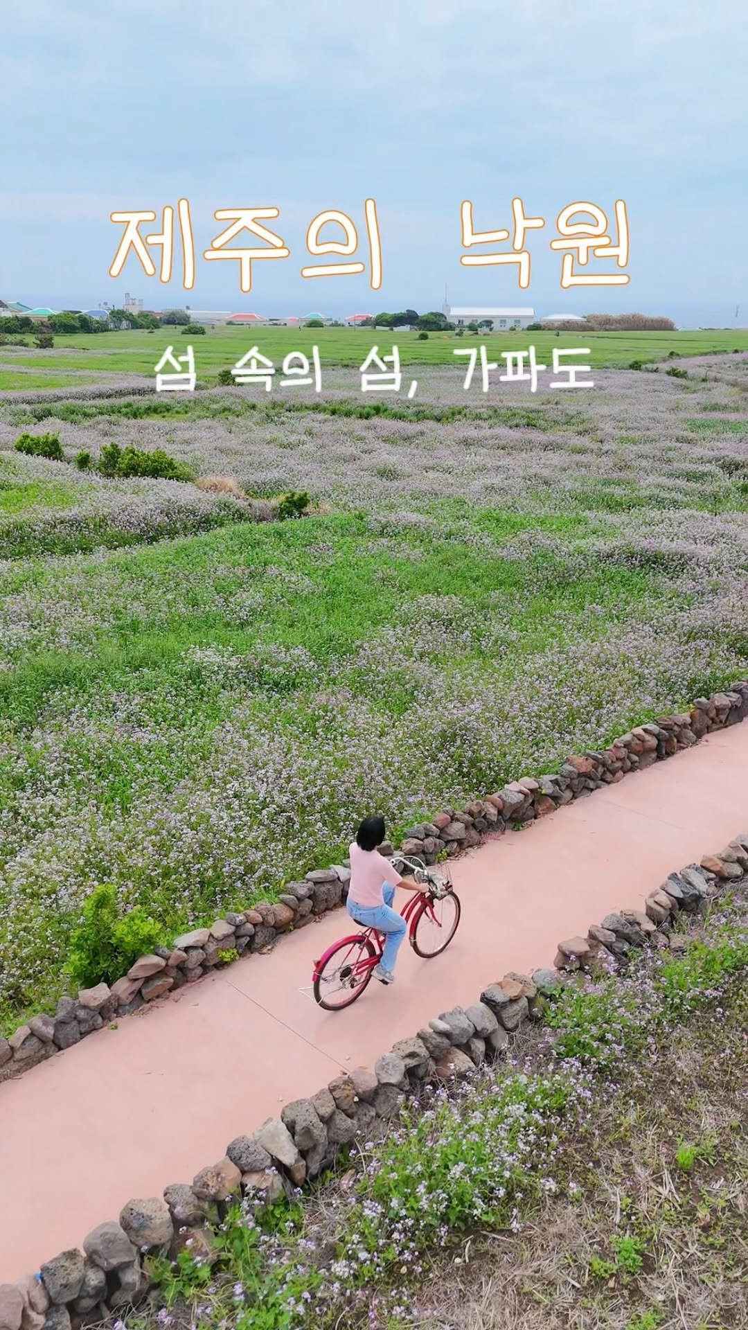 ae_bong2 게시물 이미지: 섬 속의 섬, 가파도의 봄💚 푸른 청보리밭에 갯무꽃, 유채꽃까지 청량함 가득한...
