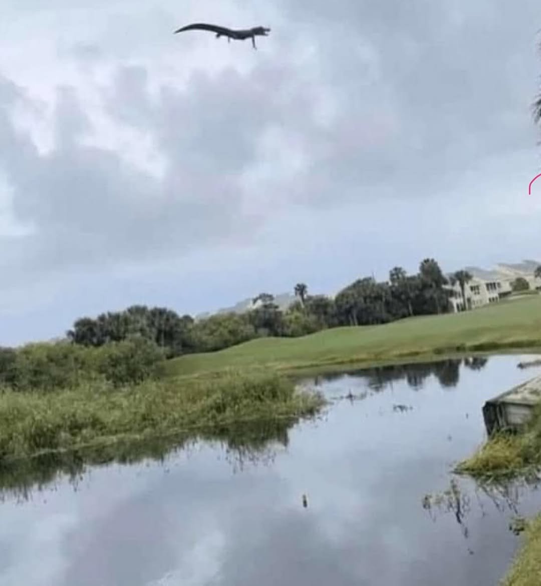 Photo by GISELLE on July 20, 2025. May be an image of golf, pelican, golf course and text.