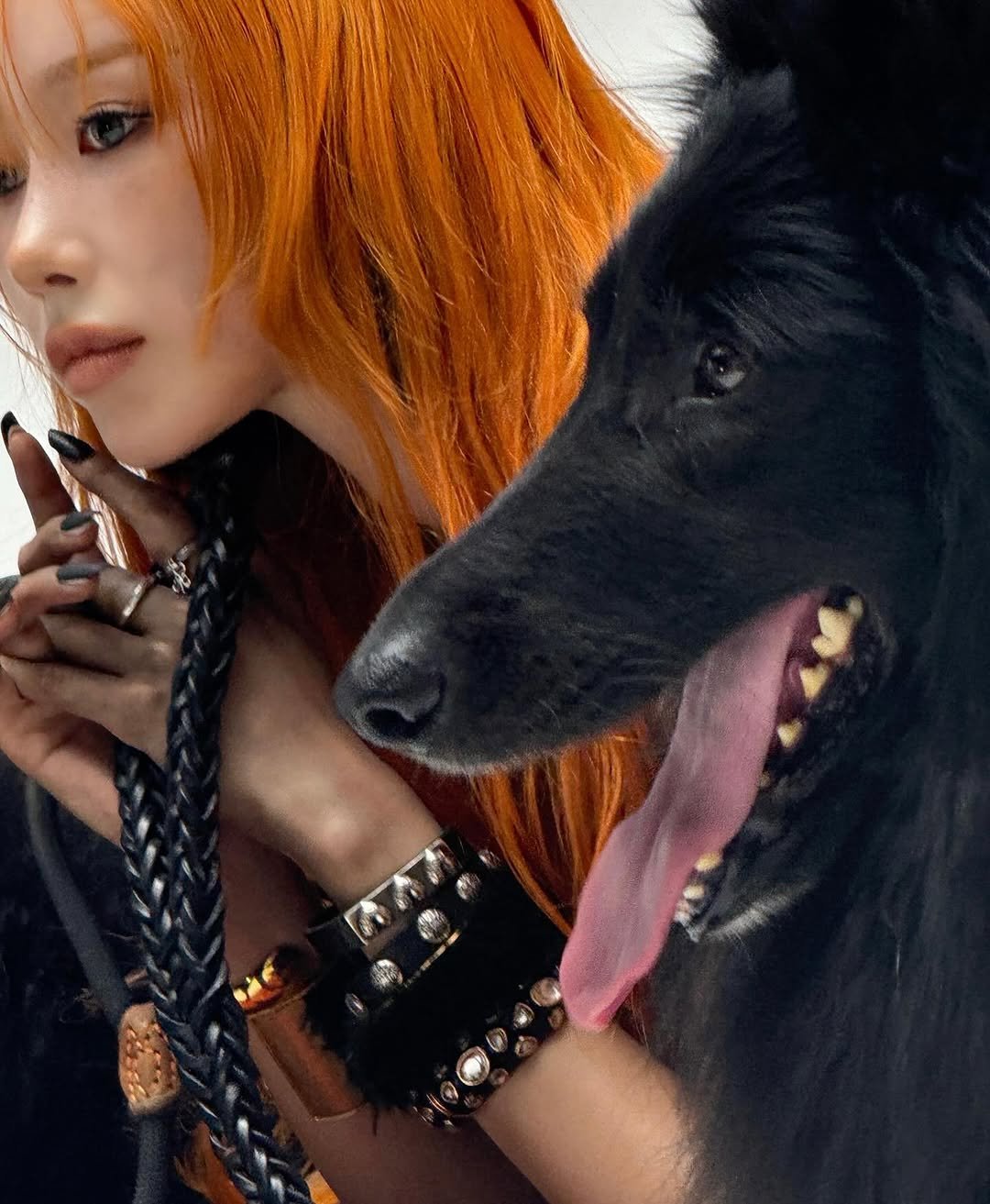 Photo by GISELLE on June 23, 2025. May be an image of 1 person, hair, Groenendael, Afghan hound and text.