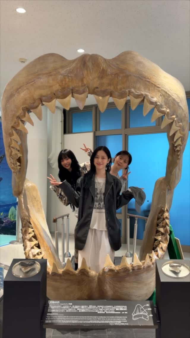 aespa_official 게시물 이미지: 읏쇼읏쇼 우리의 우정 여행 ✮

#aespa #에스파 
#KARINA...