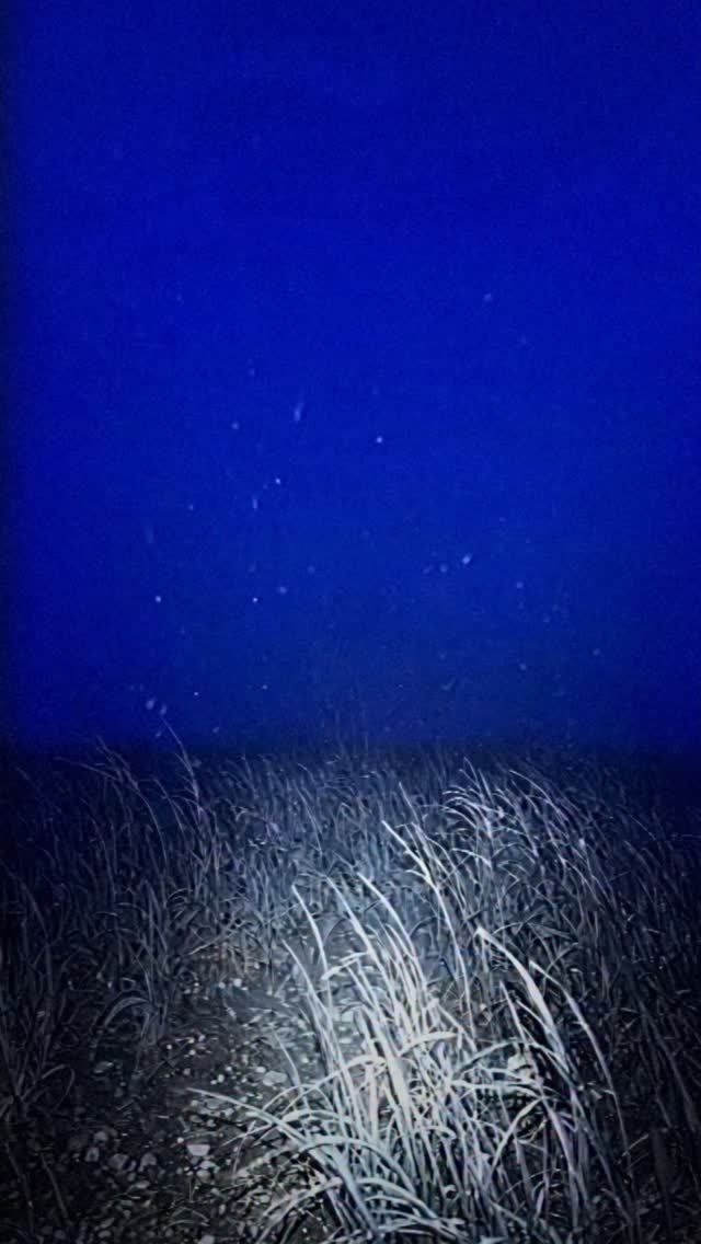 aespa_official 게시물 이미지: Something’s off here

aespa 에스파 The 2nd Album...