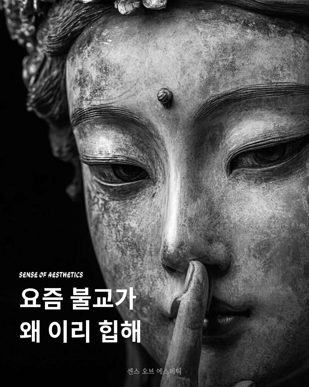 Photo shared by 센스 오브 에스테틱 on February 13, 2026 tagging @wilma.pub. May be an image of text that says 'SENSE SENSEOFAESTHETICS OF AESTHETICS 요즘 불교가 왜 이리 힘해 센스오브에스테틱 센스 오브 에스테틱'.