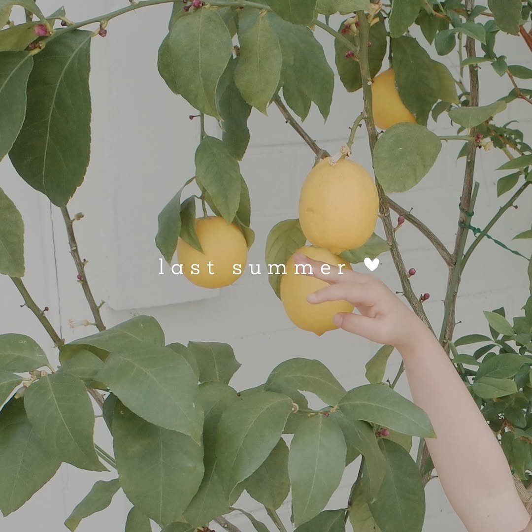 Photo by 아펙토무이 on July 07, 2025. May be an image of child, lemonade and text that says 'last summer astsummer m er'.