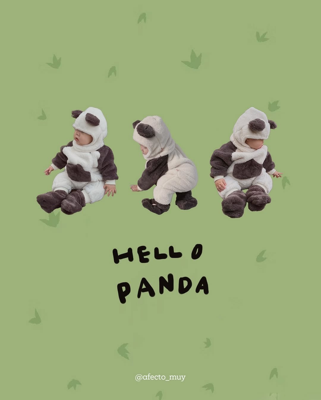 Photo by 아펙토무이 on December 17, 2025. May be an image of ‎panda, bear and ‎text that says '‎A ا V y HELL PANDA ٢ @afecto_n muy‎'‎‎.