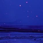 mjungkang 프로필 사진