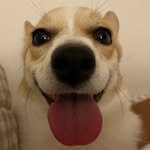 hey.db 프로필 사진