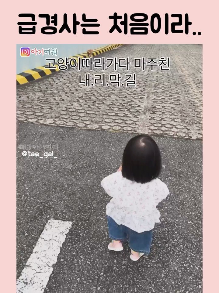 agiyowar 게시물 이미지: #아기여워챌린지ㅋㅋㅋㅋ어떻게 하나 지켜봣는데 ㅋㅋㅋㅋ

예상치도 못한 경사타기 스킬...