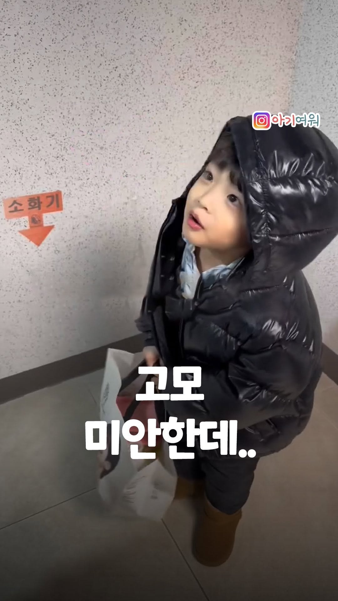 agiyowar 게시물 이미지: 조카 덕질하게 만드는 애교💖
쉬도 하고 응가도 하고 다 해!!

⚠지나친 댓글은...