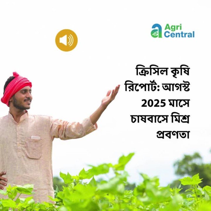 agri.central 게시물 이미지: ক্রিসিল কৃষি রিপোর্ট: আগস্ট 2025 মাসে চাষবাসে...