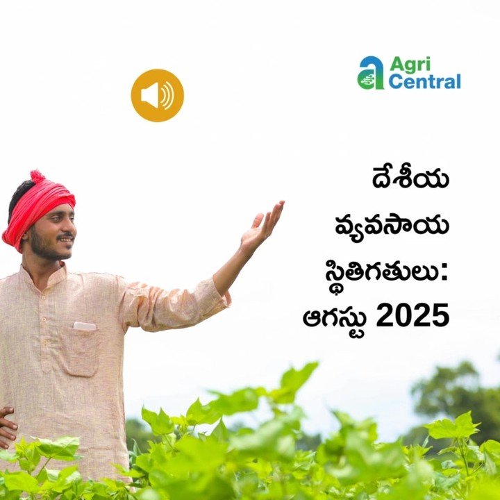 agri.central 게시물 이미지: దేశీయ వ్యవసాయ స్థితిగతులు - ఆగస్టు 2025

*...