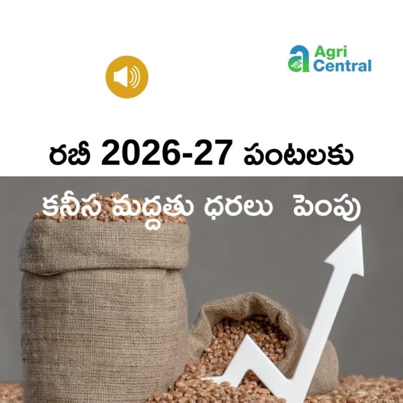 agri.central 게시물 이미지: ఆడియో: రబీ పంటలకు కనీస మద్దతు ధరలు 2026-27...