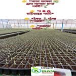 jitendra_patel_sirvi 프로필 사진