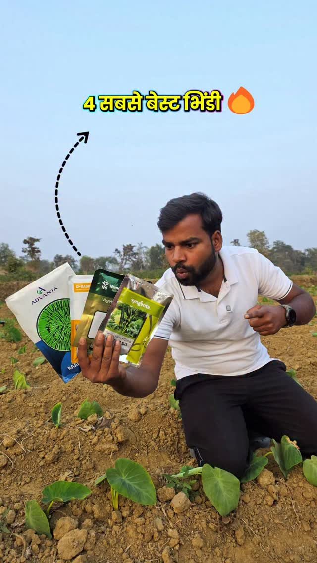 agri_duniya 게시물 이미지: जनवरी के लिए 4 बेस्ट भिंडी 🔥

#bhendi...