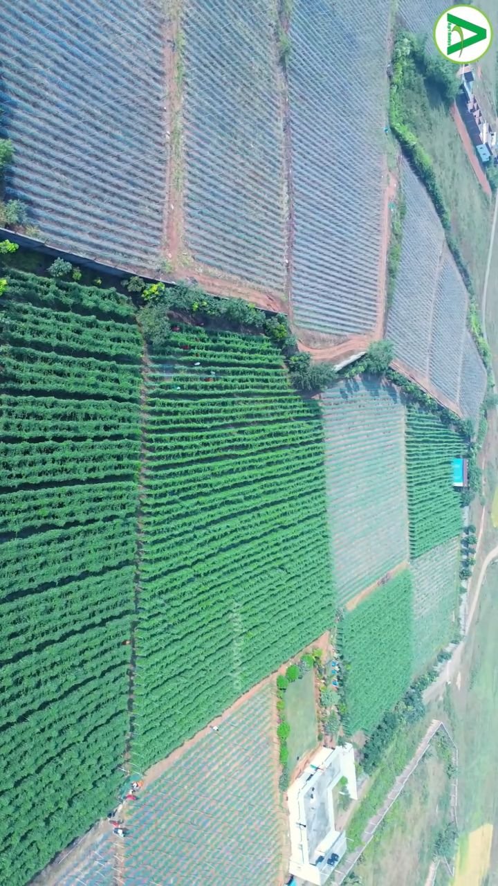 agri_duniya 게시물 이미지: कहानी का एक छोटा सा हिस्सा... जो आपकी उत्सुकता...