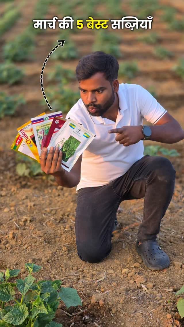 agri_duniya 게시물 이미지: March me konsi sabji lagaye🍆🍅🥔?

#farming...