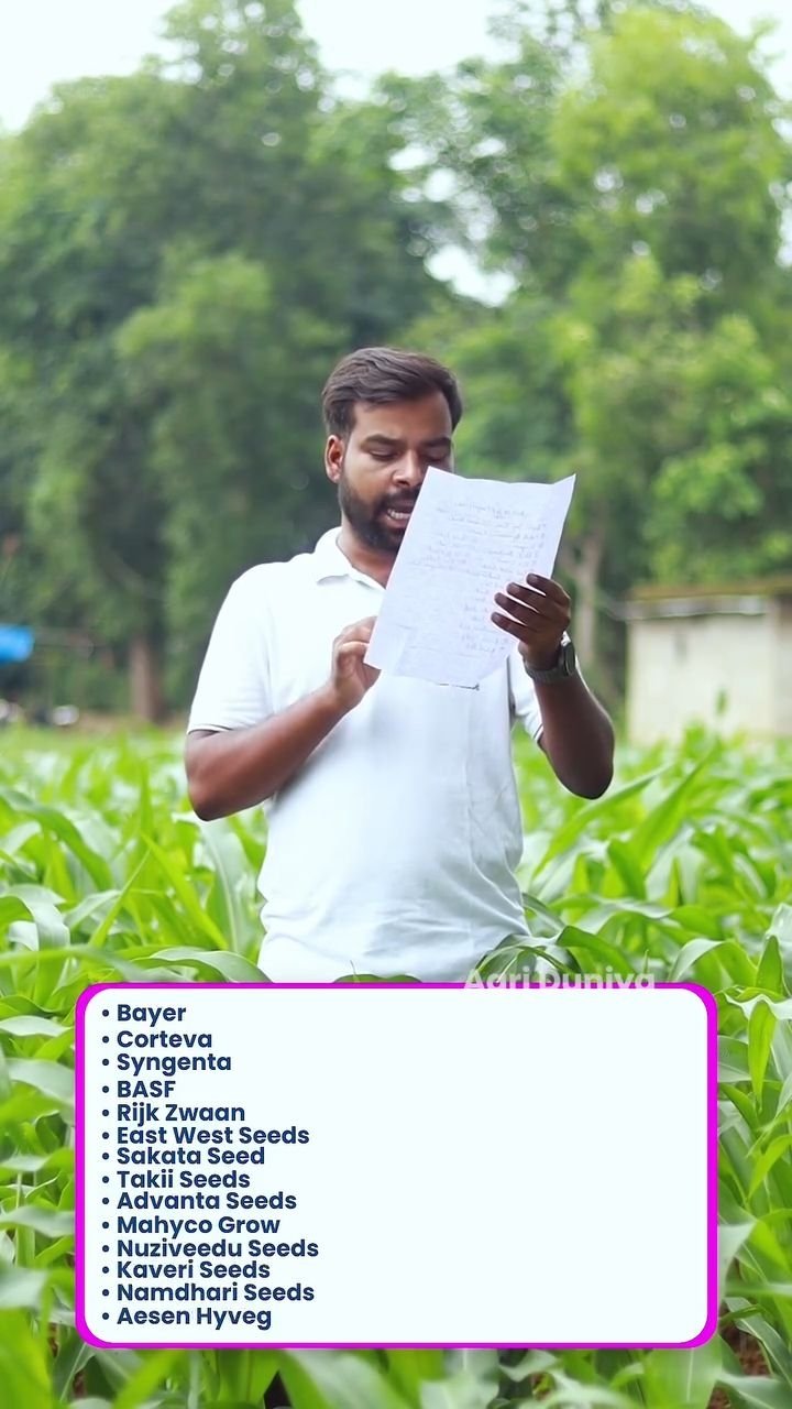 agri_duniya 게시물 이미지: बीज अच्छा तो फसल अच्छा 👌
#Seeds #seedscompany...