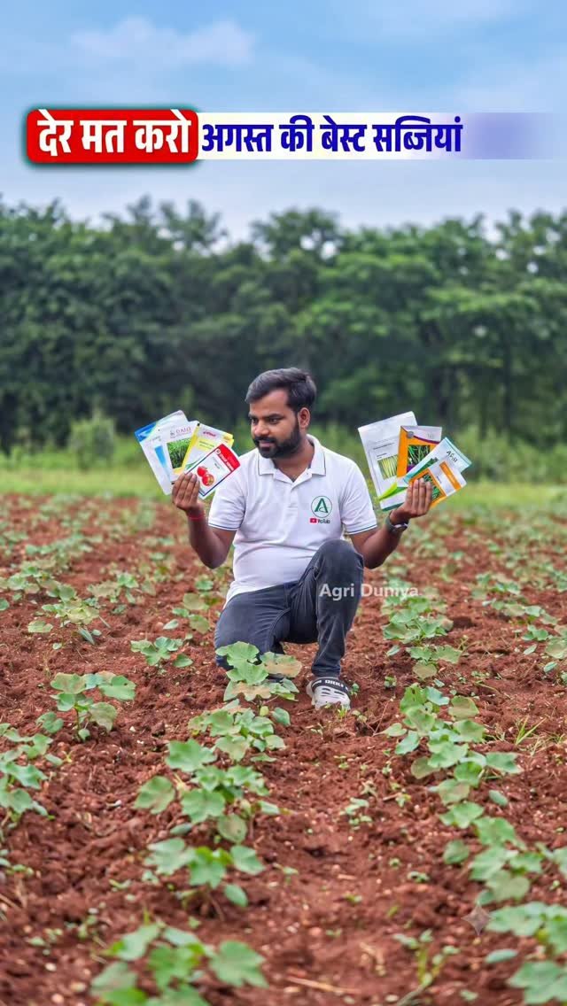 agri_duniya 게시물 이미지: अगस्त में कौन सी सब्जी लगाएं? 🤔🌱
#KhetiBadi...