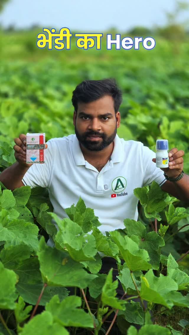 agri_duniya 게시물 이미지: Bhendi ka Hero 🦸
#bhendikikheti...