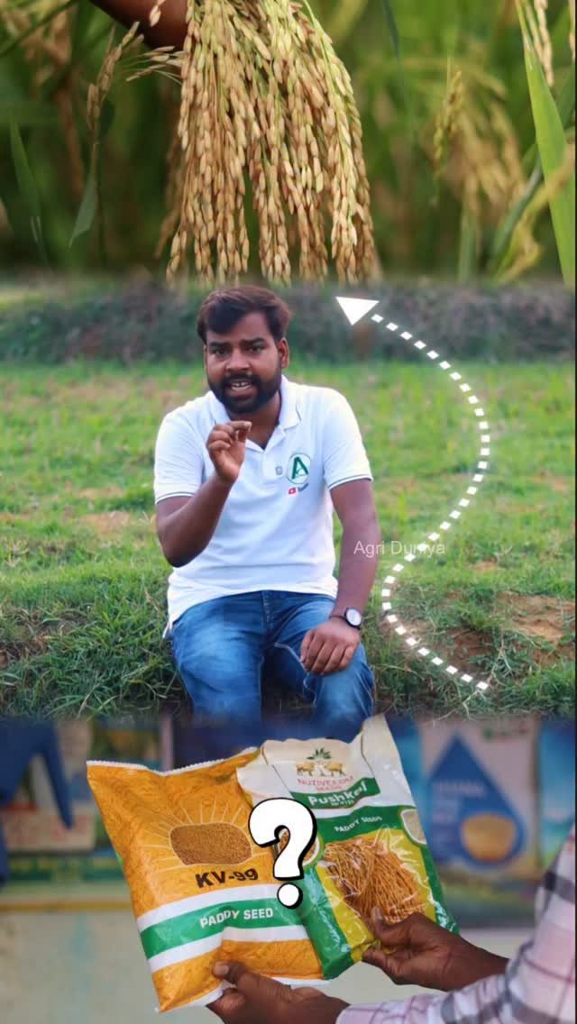 agri_duniya 게시물 이미지: गलत बीज = मेहनत और पैसा दोनों बर्बाद
इसलिए...