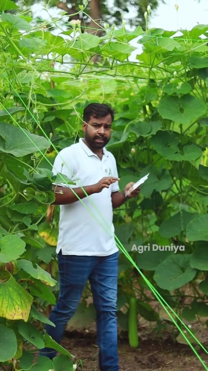 agri_duniya 게시물 이미지: जड़ों की असली ताकत—Mycorrhiza! 🌾✨ 
यह सिर्फ एक...