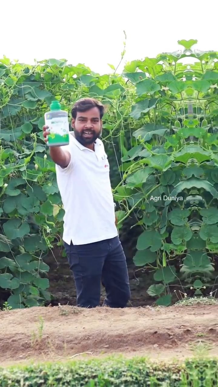 agri_duniya 게시물 이미지: "फसलों को दें समुद्री शैवाल (Seaweed) की...
