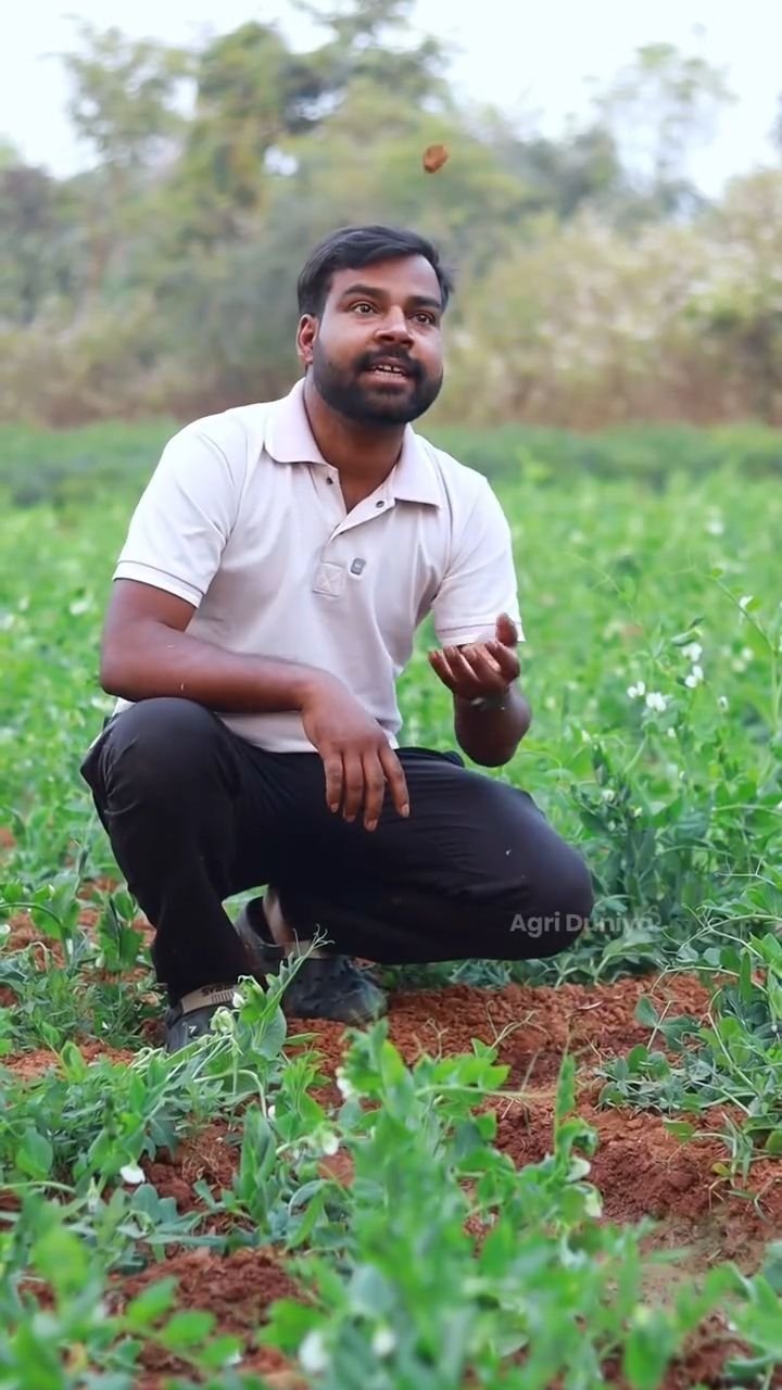 agri_duniya 게시물 이미지: Fasal ke "Hidden Heroes" 🦸‍♂️🌾

​Hum aksar NPK...