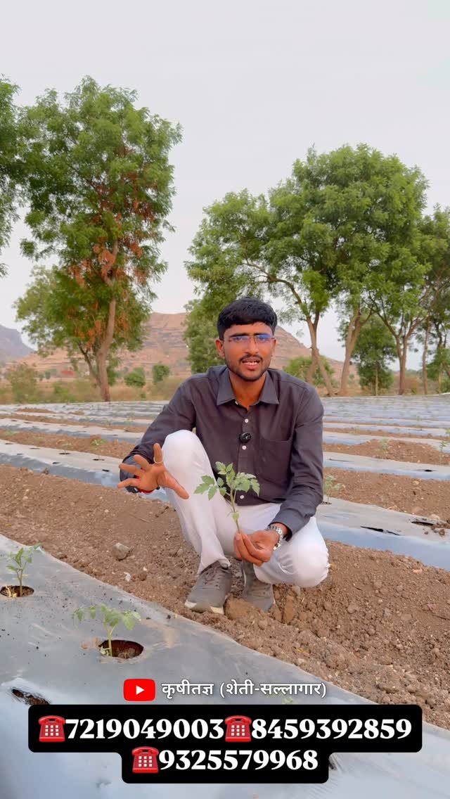agri_khushal_sk 게시물 이미지: व्हायरस नियंत्रण ,किनोपी, काळोखी, फुटवा,...