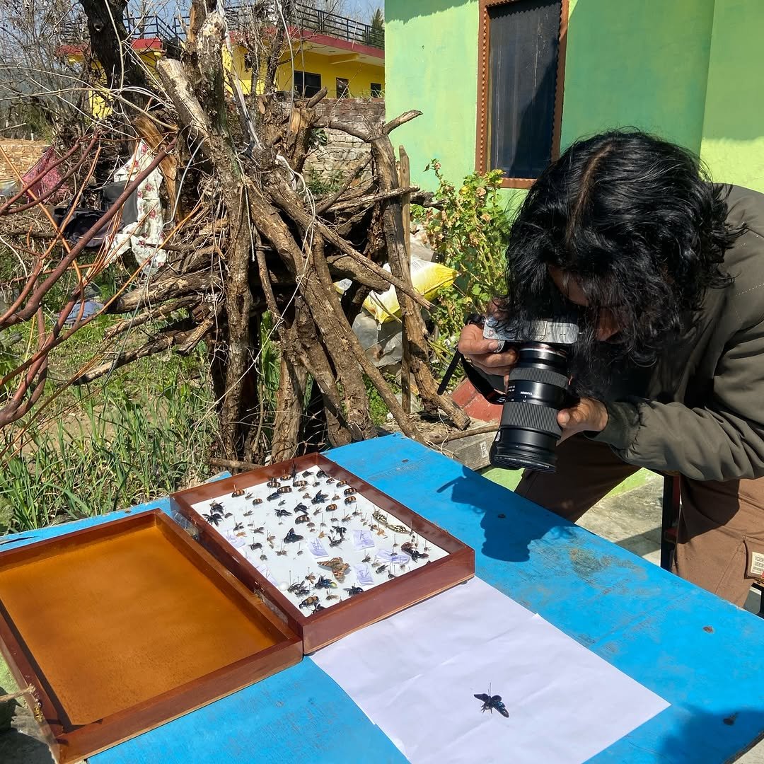 Photo by देवेन्द्र पटेल on February 16, 2026. May be an image of book and text.