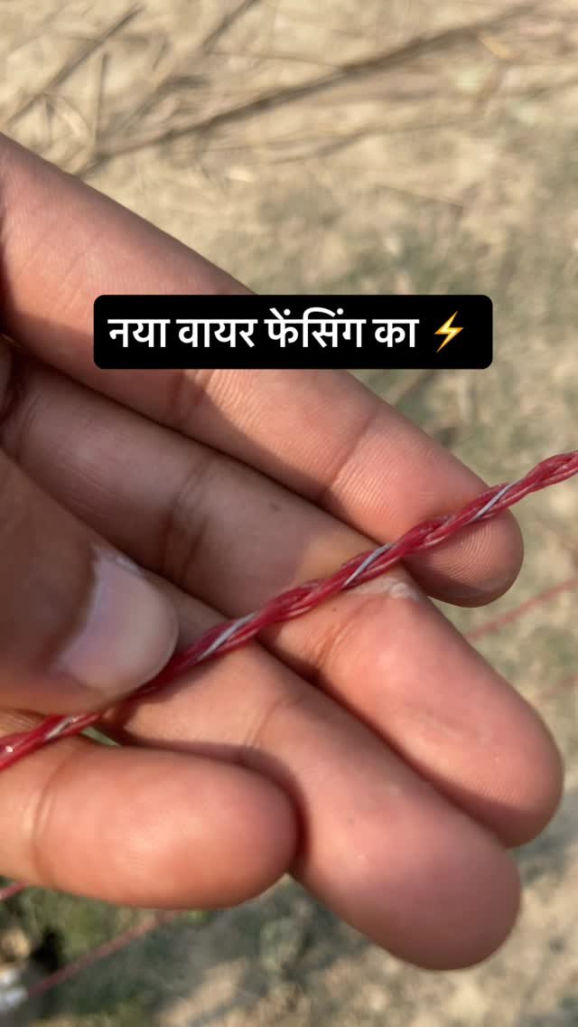 agrilcareer 게시물 이미지: New wire for fencing ⚡️ | Agril Career