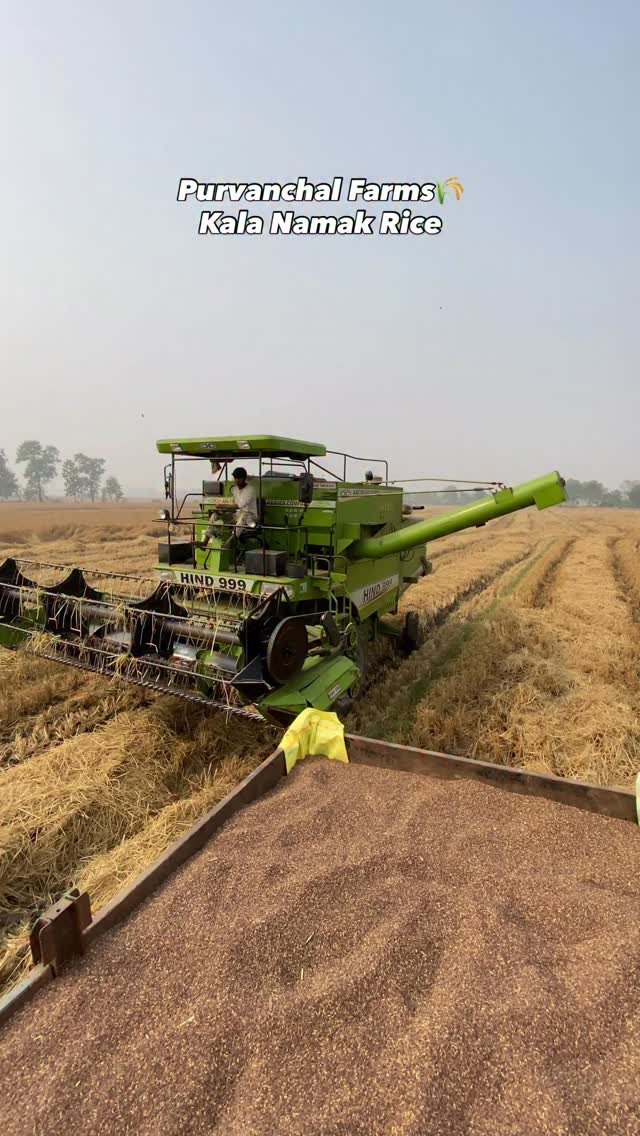 agrilcareer 게시물 이미지: Harvesting completed 🌾😌| Agril Career