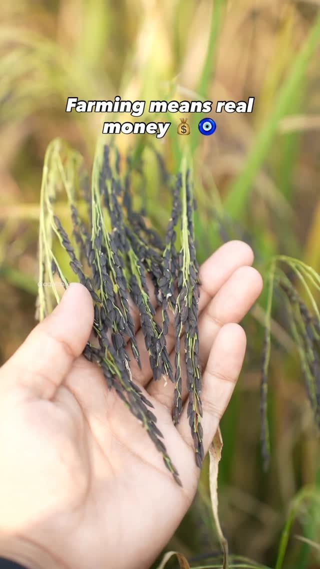 agrilcareer 게시물 이미지: Asli flex yahi hai 🔱💰Follow @agrilcareer...