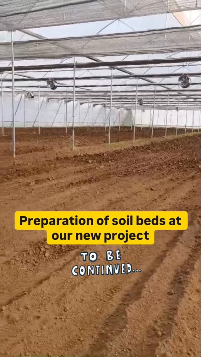 agriplastprotected 게시물 이미지: Why the Right Bed Preparation & Planting...