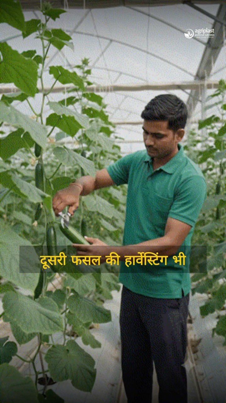 agriplastprotected 게시물 이미지: A Government Officer.

A 2 Acre...
