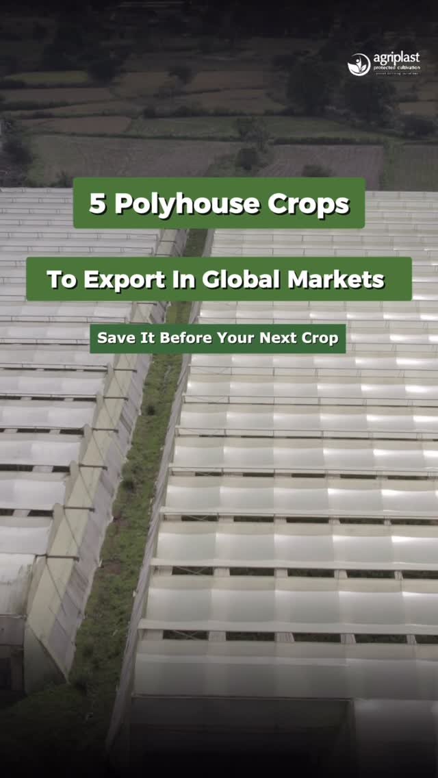 agriplastprotected 게시물 이미지: Want To Start Export Farming? 🌍🌱

Many farmers...
